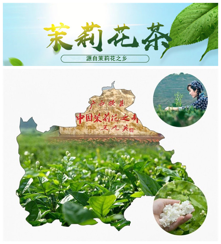 广西横县茉莉花茶新茶茉莉黑美人产地批发散装浓香耐泡型花茶茶叶