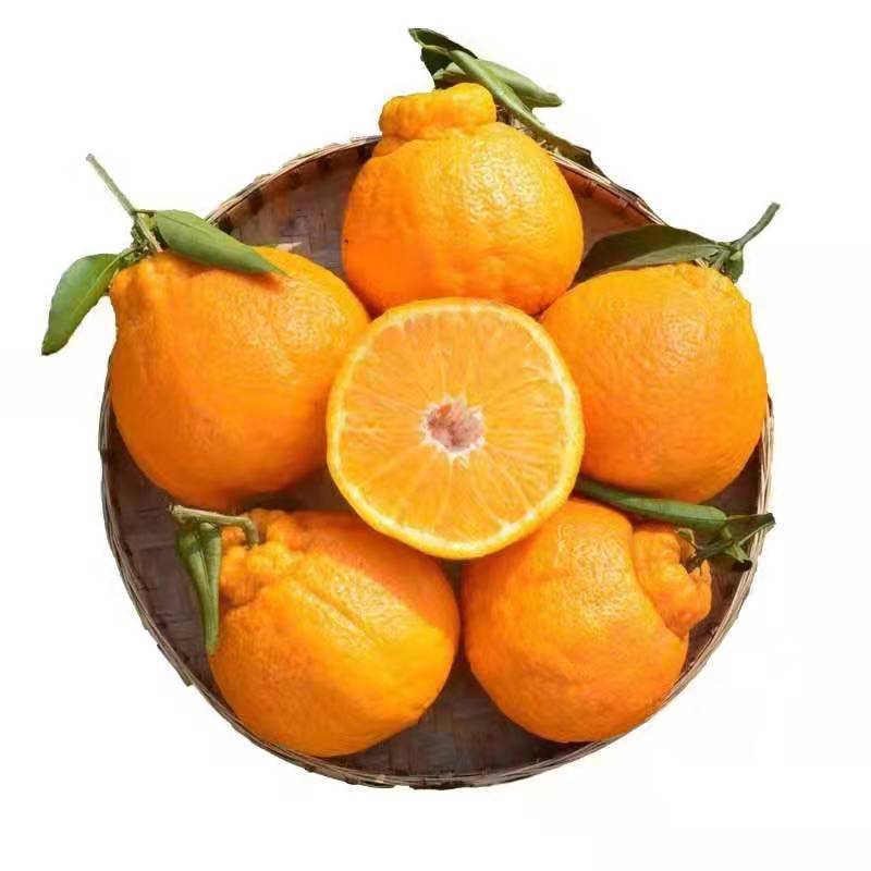 四川不知火丑橘5斤包邮应季新鲜水果不知火丑橘一件代发-阿里巴巴