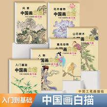 儿童中国画白描基础入门篇临摹画册练习纸人物动物植物底稿涂色本