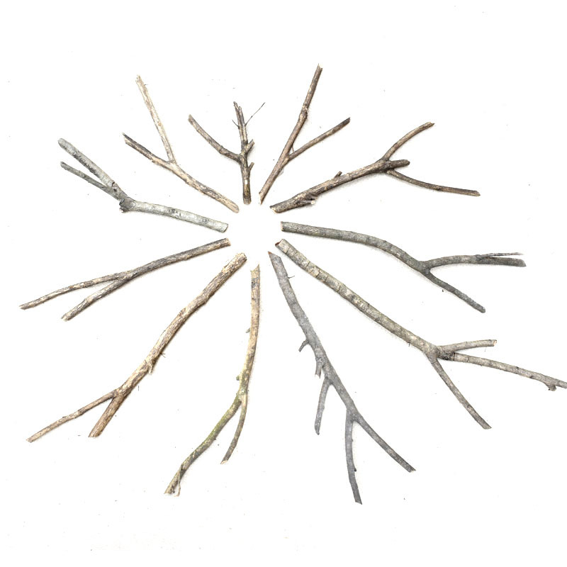 分叉干树枝diy手工天然干枝带皮有分枝装饰造型创意原木分杈枯枝