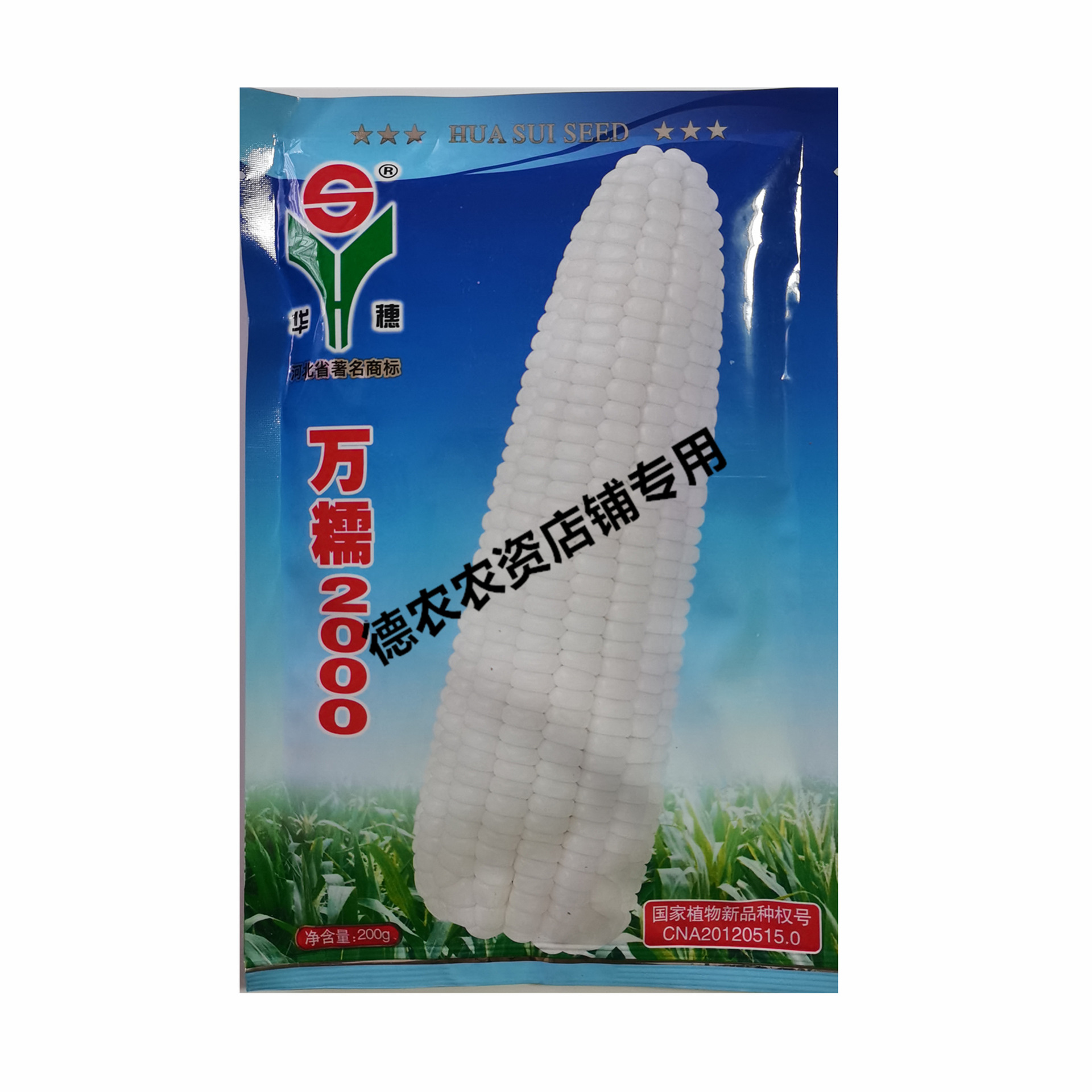 华穗万糯2000糯玉米种子鲜食白糯玉米种子中熟大棒白苞米糯米