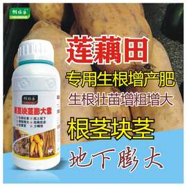 莲藕田专用叶面肥生根壮苗增产膨大中药材专用药生根茎块茎水溶肥