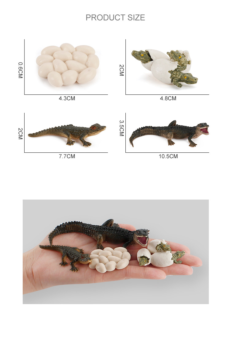 亚马逊,wish,速卖通,独立站,lazada颜色zq2440-鳄鱼生长周期 46g,zq