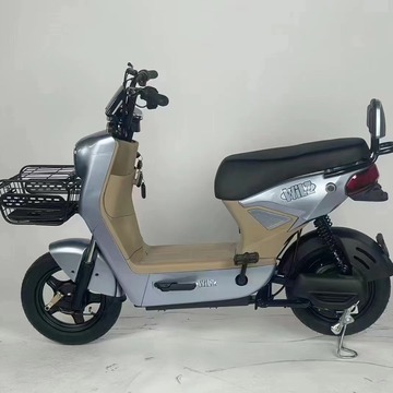 跨境外贸新款电动车48v成人两轮电动自行车成人休闲电瓶车工厂直