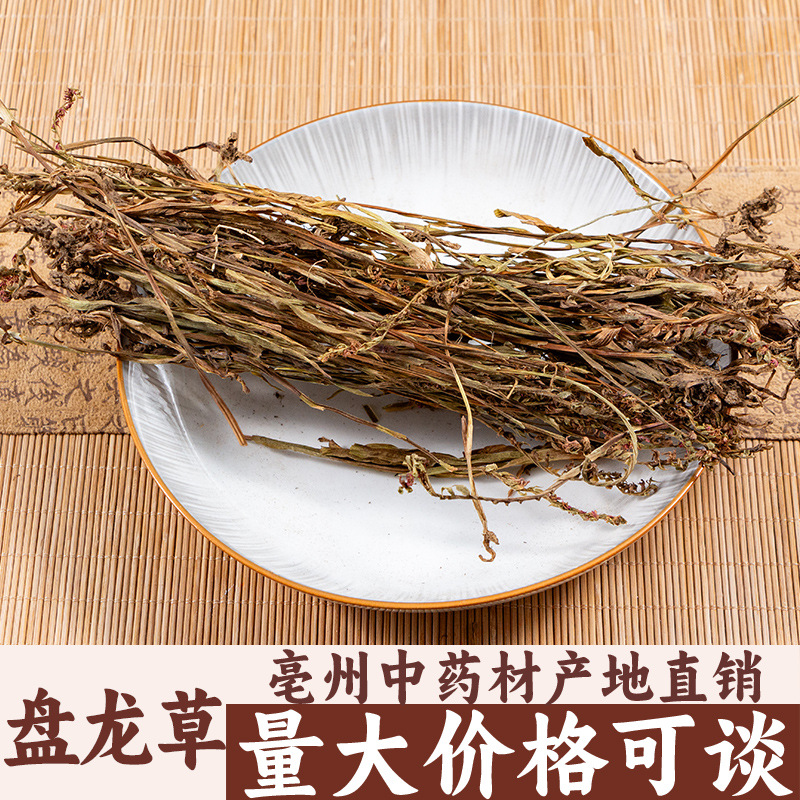 盘龙草 猪鞭草 鲤鱼草龙抱柱一线香亳州中药材批发中草药药食同源