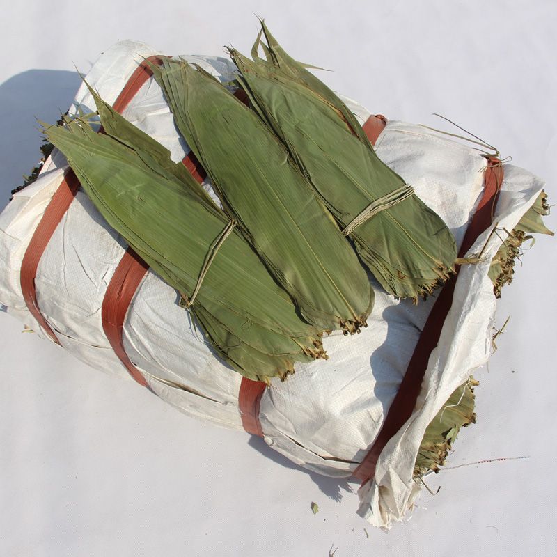 干粽叶商用5斤装批发价粽子厂家直销新鲜国产麻竹棕叶一件代发热