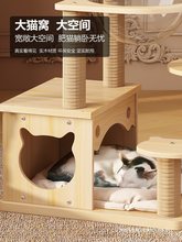 猫爬架猫窝猫树一体实木猫抓板四季猫爬架自带猫玩具太空舱通天柱