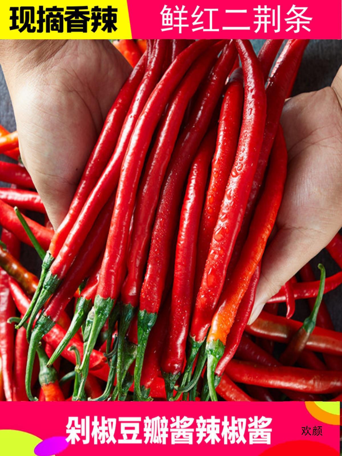农家现摘红二荆条5斤新鲜辣椒鲜红辣椒红线椒海椒辣椒酱剁椒泡椒