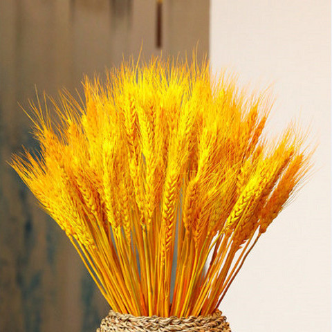 天然黄金麦穗干花花束开业大麦田园客厅装饰摆件插花花瓶摆设道具