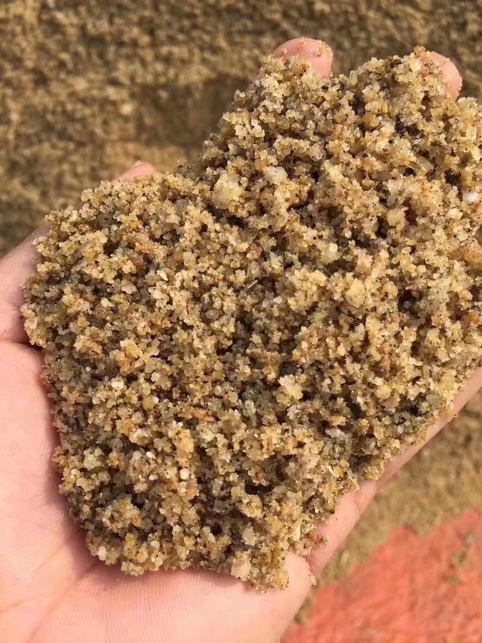 黄沙 佛山河沙 洗水沙 粗沙 黄沙批发 细沙