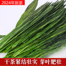 2025新茶头茶太平布尖安徽黄山太平绿茶猴魁茶农直销欢迎选购咨询