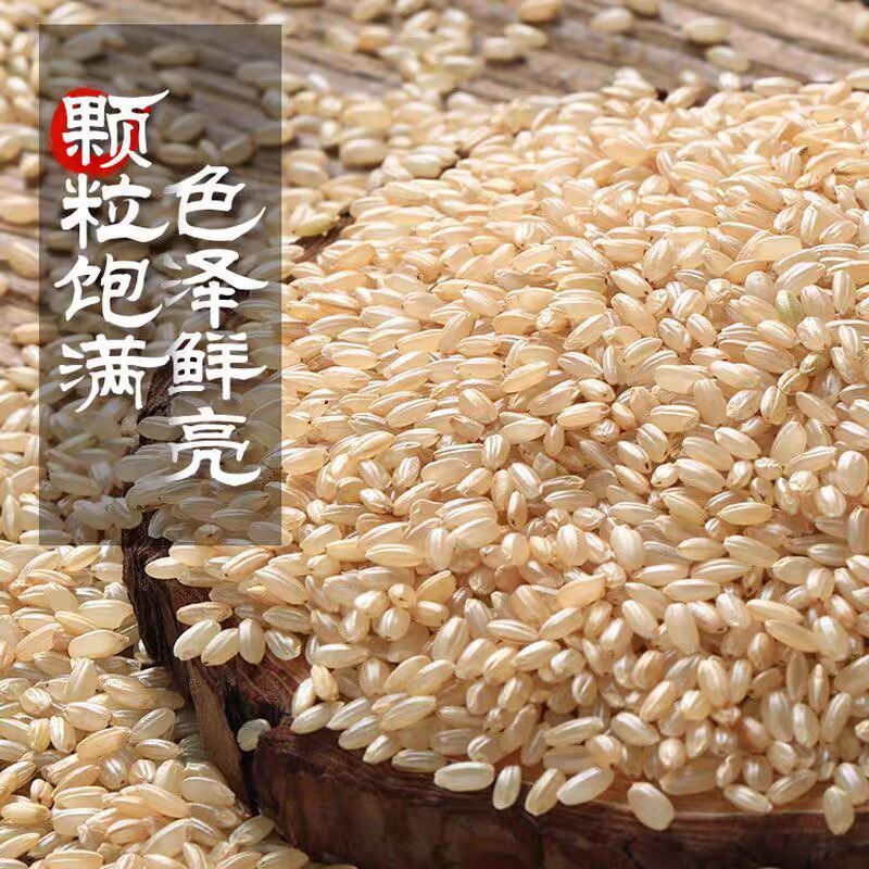 东北糙米5斤装 玄米发芽米新米杂粮五谷饭正宗五常粳米煮粥黑龙江