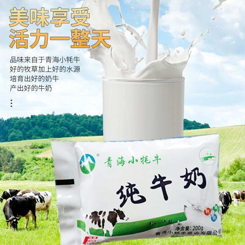 青海小牦牛200g百利包纯牛奶全脂袋装牧场原奶高原牛奶整箱特产