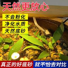 50斤天然鹅卵石溪流石鱼缸铺底造景砂水箱沼泽过滤小石子原生豆石