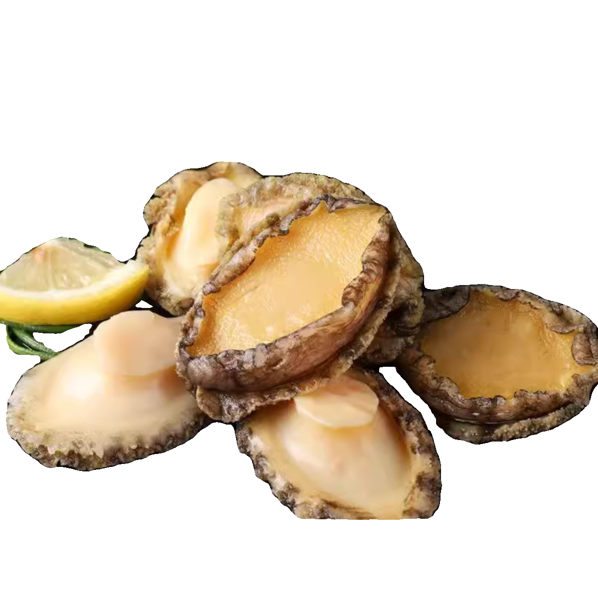 南日岛鲍鱼肉鲜活去壳鲍鱼仔新鲜海捕冷冻大鲍鱼顺丰包邮1斤3斤5