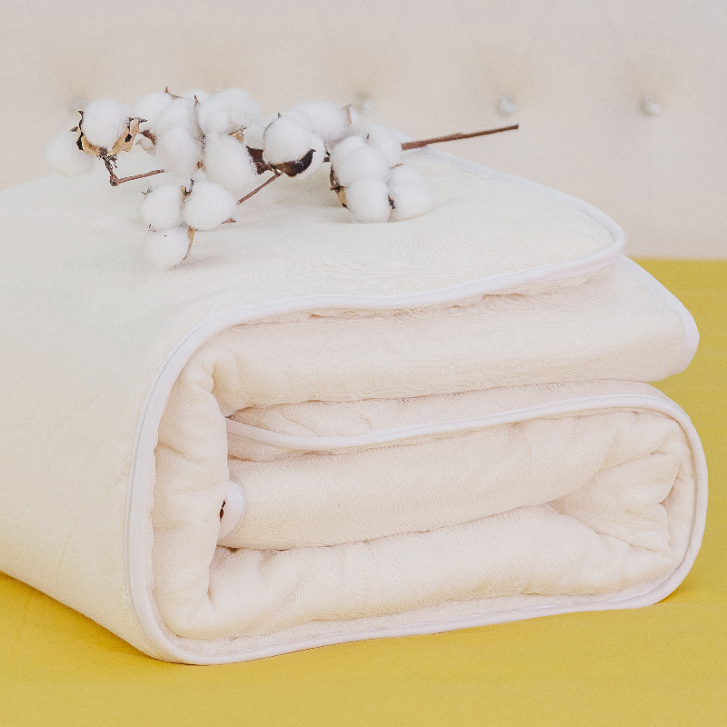 新疆一级棉花被学生春秋棉被芯纯棉垫被絮全棉包边被子冬加厚保暖
