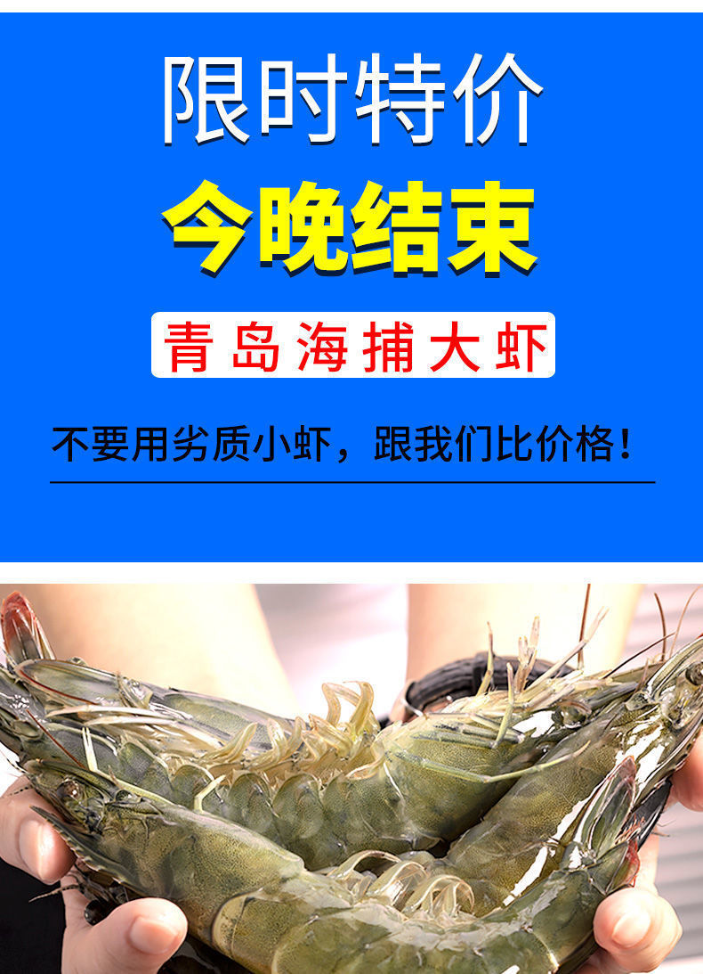 虾鲜活基围虾青岛大虾海虾新鲜海鲜水产鲜虾速冻白虾对虾青虾