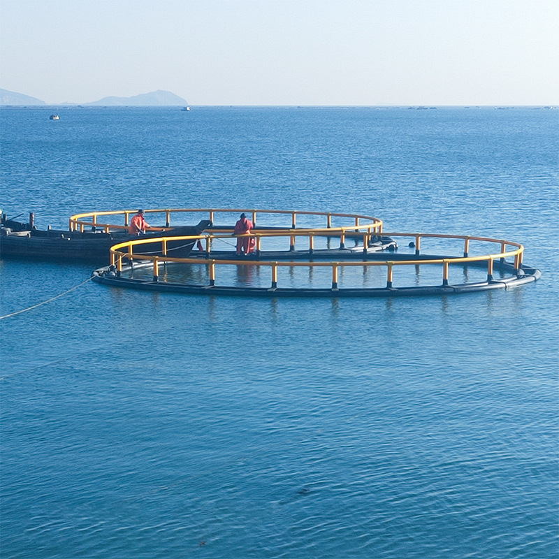 抗风浪深海养殖网箱 海洋牧场水库养鱼平台支架 聚乙烯pe管工字架