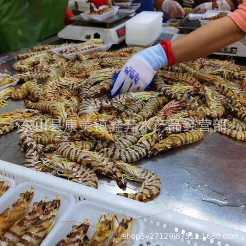 去头斑节虾 竹节虾九节虾身虾尾新鲜活冻大虾肉-阿里巴巴