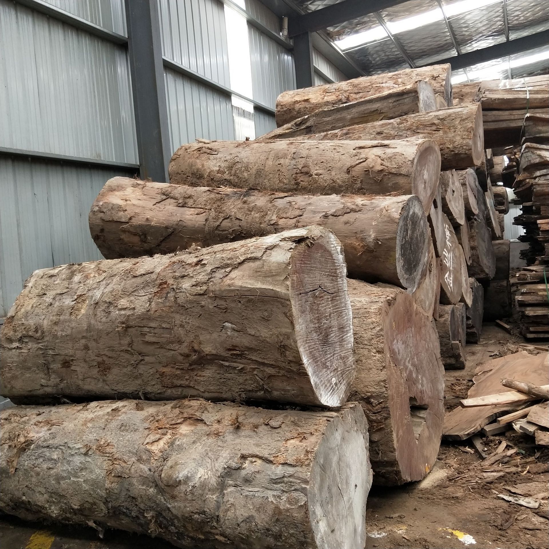 金丝楠 缅甸金丝楠原木 小叶桢楠 高级家具工艺品料 量大从优