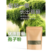苔藓培育种子颗粒庭院绿化盆景盆栽造景铺面植物青苔种籽孢子粉