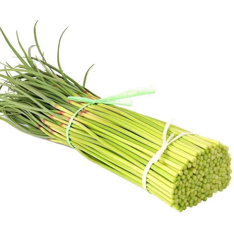 栗贝诺新鲜蒜苔2斤装 当季蒜苔 现摘蒜苔 鲜嫩蒜苔 新鲜蔬菜 源