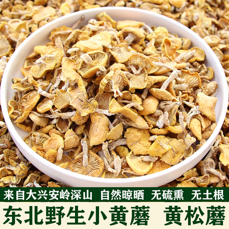 2023新货野生小黄蘑干货东北特产非滑子菇大兴安岭山货黄松蘑