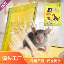 捕鼠神器粘鼠板家用老鼠笼沾胶夹药抓捉大老鼠贴强力粘鼠板驱