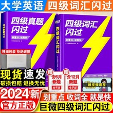 2024英语四级词汇闪过乱序大学英语四级高频基础四级真题精讲备考