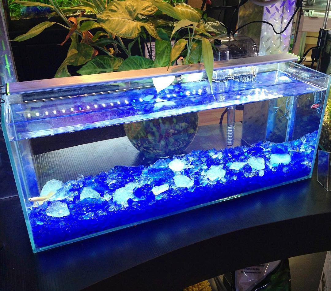 白瓷橘黄无污染园林景观造景玻璃大块石 石笼石造景石植物覆盖物