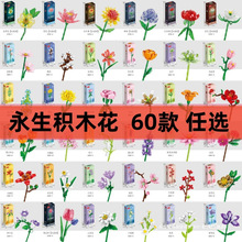 玫瑰向日葵拼装儿童永生花束积木玩具生日六一情人节礼物水晶荷花