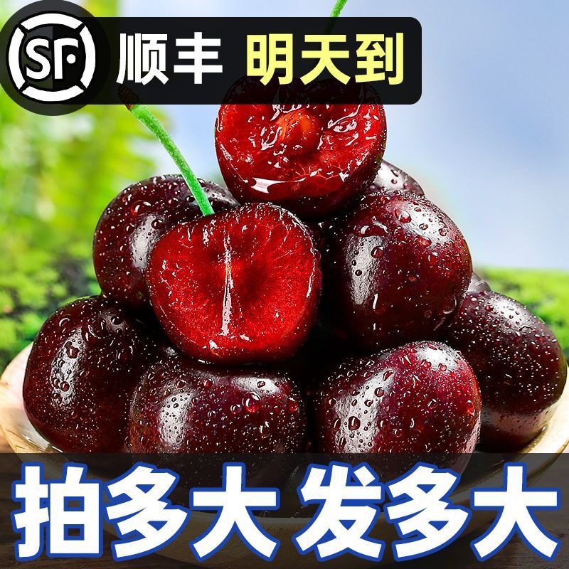 【现货】智利车厘子5斤新鲜水果当季整箱包邮甜顺丰空运-阿里巴巴