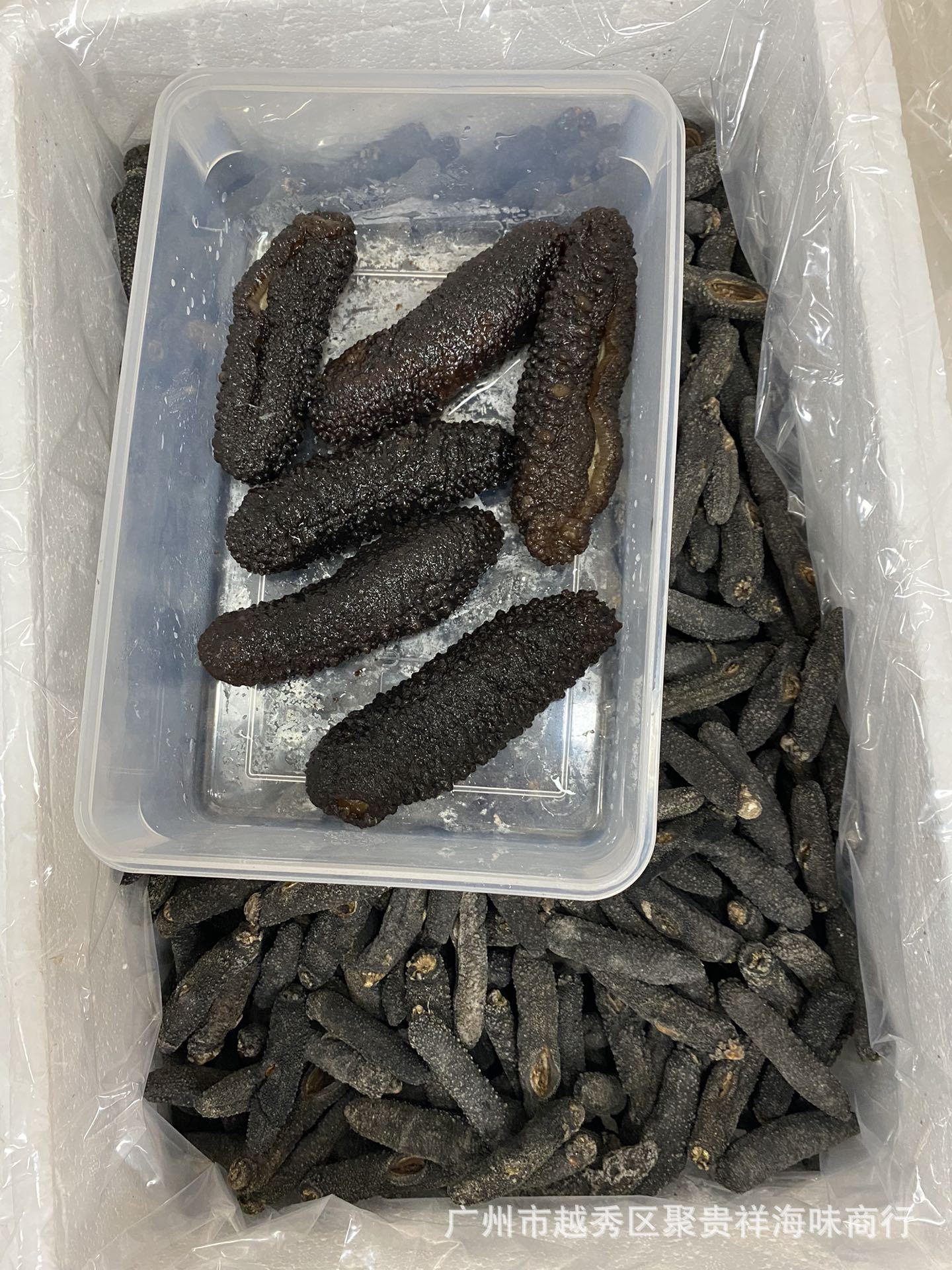 毛刺参淡干酒店干货食材批发土耳其小米参黑刺参-阿里巴巴