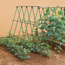 黄瓜爬藤架豆角蔬菜架杆植物固定支撑杆架子包塑钢管种菜专用架子