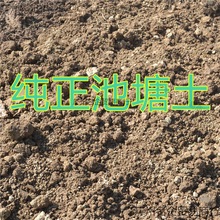 营养土 种植土 塘泥 天然泥土 池塘土 花土 种菜土 斤/吨 批发