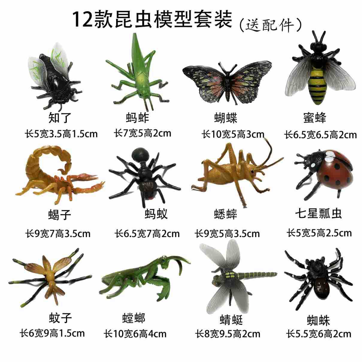 Cross-Border Children's Real Insect Toy Animal Model Hoppergrass Butterfly Scorpion Spider Ant Teaching Observation Ornaments