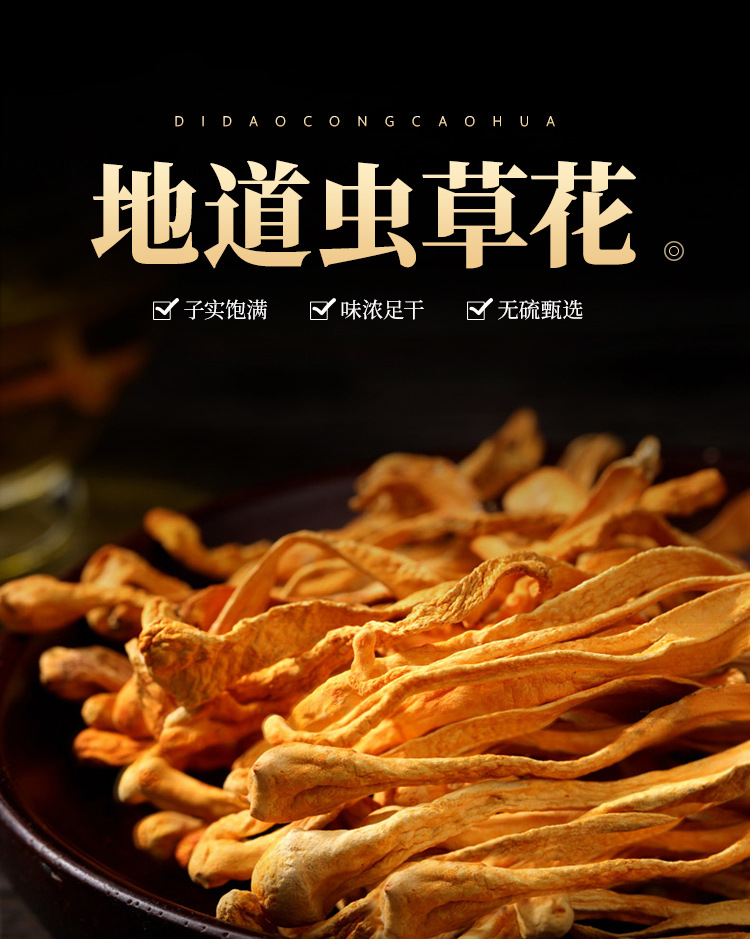 云南虫草花 北虫草金虫草蛹虫草 干货 煲汤 产地批发零售一件代发