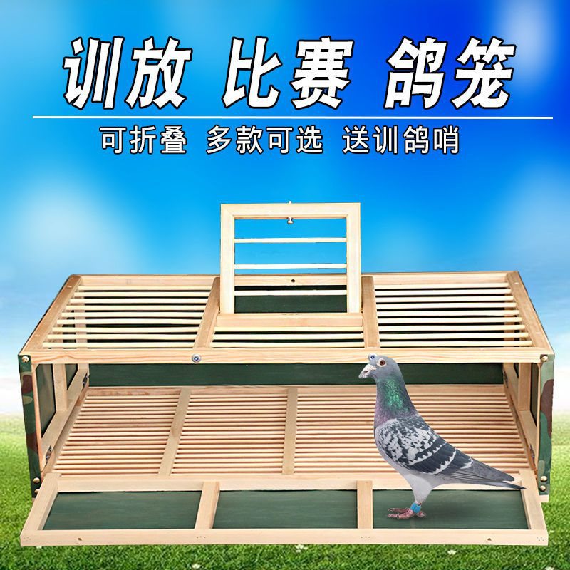 信鸽用品鸽具鸽子放飞笼训放笼折叠赛鸽笼鸽子笼比赛笼训鸽笼