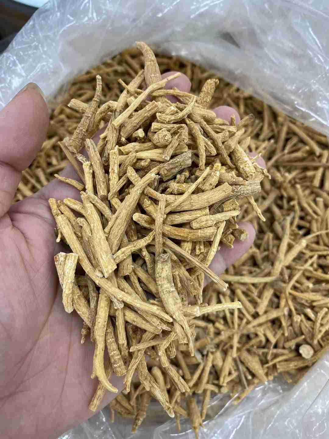 美国移种西洋参须山东细须粗须花旗参腿人参根丁