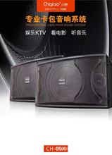 Chqiao CHP10大功率客厅家用会议KTV设备套装音响卡拉OK酒吧音箱