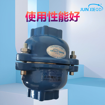 dxf/znf-25克莱德纽普兰型电厂除灰补气单向阀止回阀逆止阀止逆阀