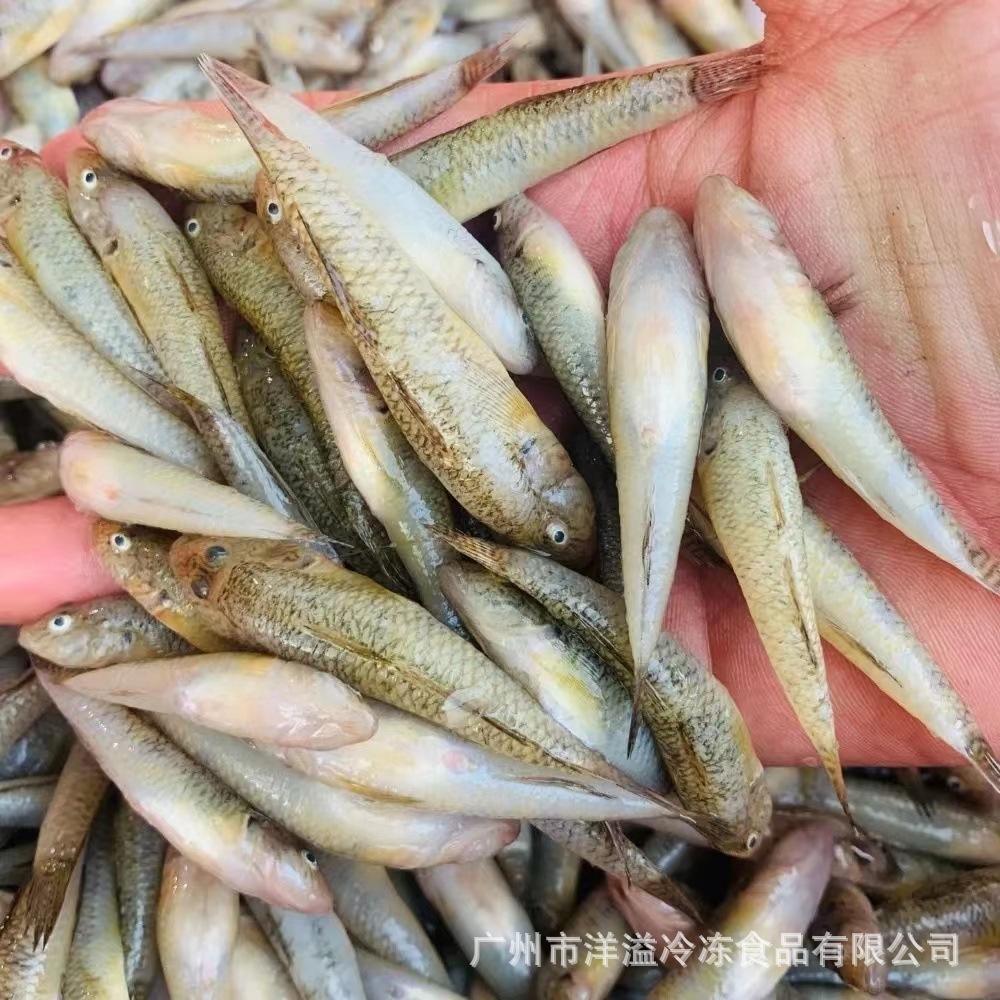 山坑鱼 冷冻 小河鱼 小龙鱼 餐饮 油炸 椒盐小吃 带冰2斤/包