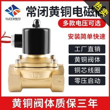 常闭电磁阀铜线圈电子控制进水自动排水开关阀220v24v4分6分管道