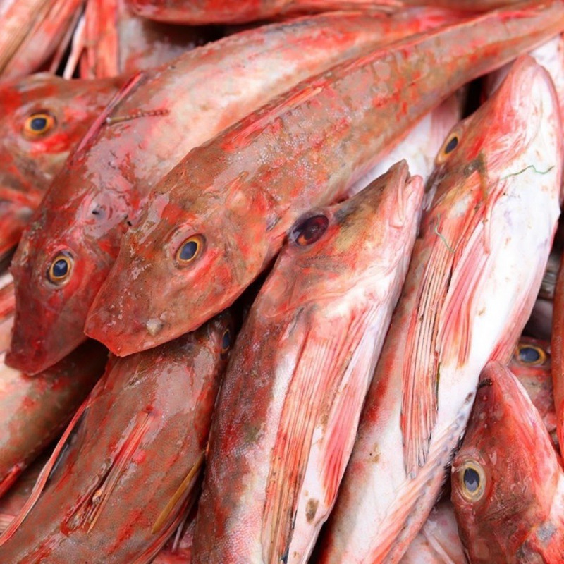 红头鱼高回购海捕鱼鲜活红娘子一斤3-5条速冻无冰衣新鲜海鲜批发