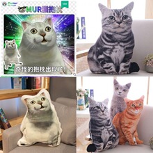 3D猫咪抱枕公仔毛绒玩具奇怪的知识猫沙雕猫搞怪mur猫玩偶