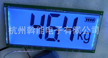 浙江宁波余姚慈溪 温州台州带LCD段式液晶屏显示模块 开发生产