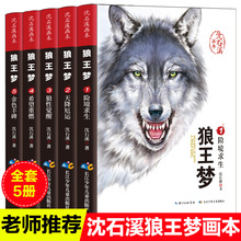 正版动物小说大王沈石溪 狼王梦画本全套5册 沈石溪珍藏版完整版