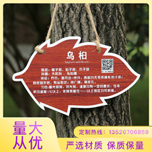 户外亚克力材质树铭牌植物铭牌标识牌树木介绍挂牌木广告牌优惠