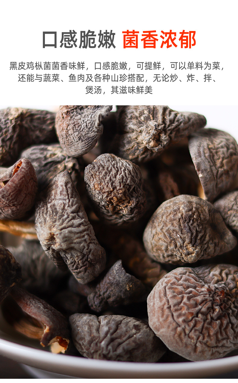 云南黑皮鸡枞菌鸡棕菇荔枝非野生菌山珍蘑菇干鸡枞菌干货散装批发