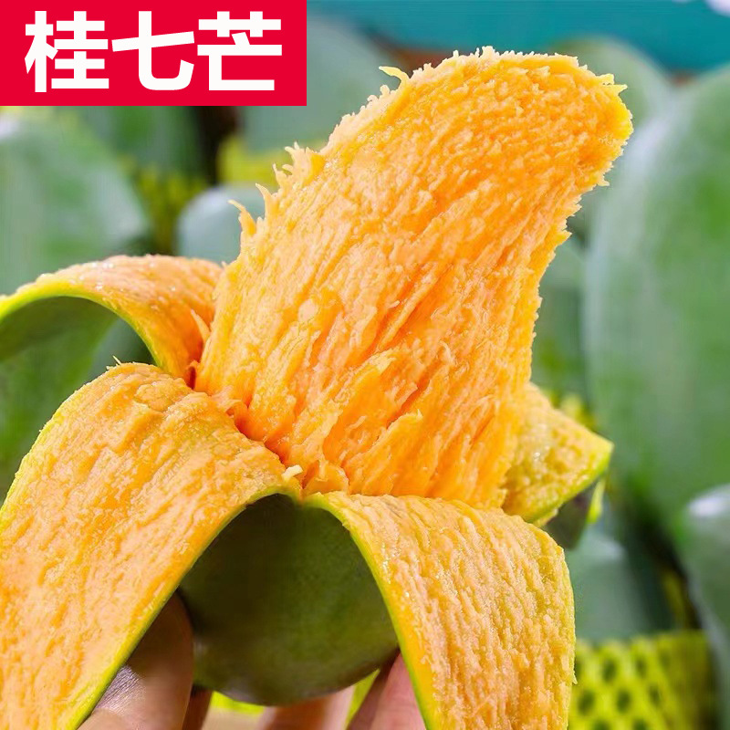 广西百色桂七芒果当季新鲜水果现摘大果青皮芒果整箱3/5/9斤包邮
